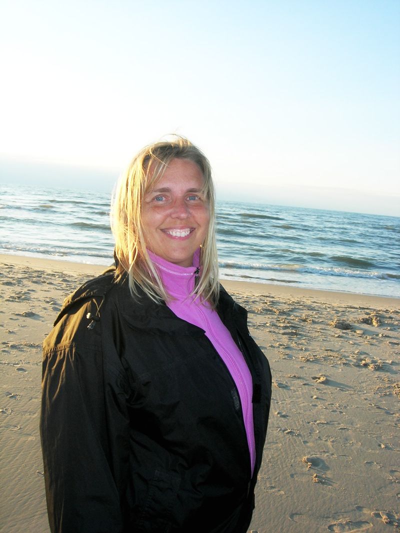 David Media Artist image