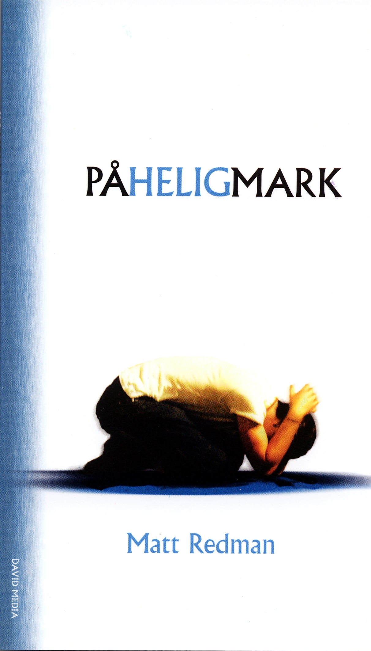 David Media book image